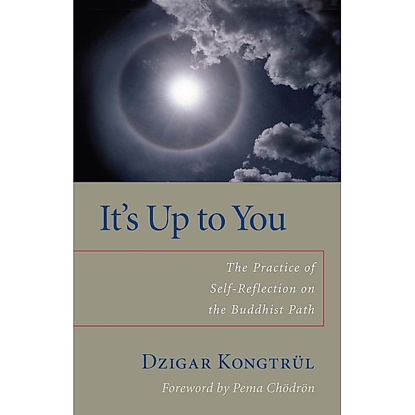 It's Up to You, Dzigar Kongtrul, Helen Berliner