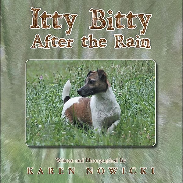 Itty Bitty After the Rain, Karen Nowicki