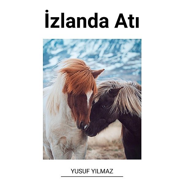 Izlanda Ati, Yusuf Yilmaz