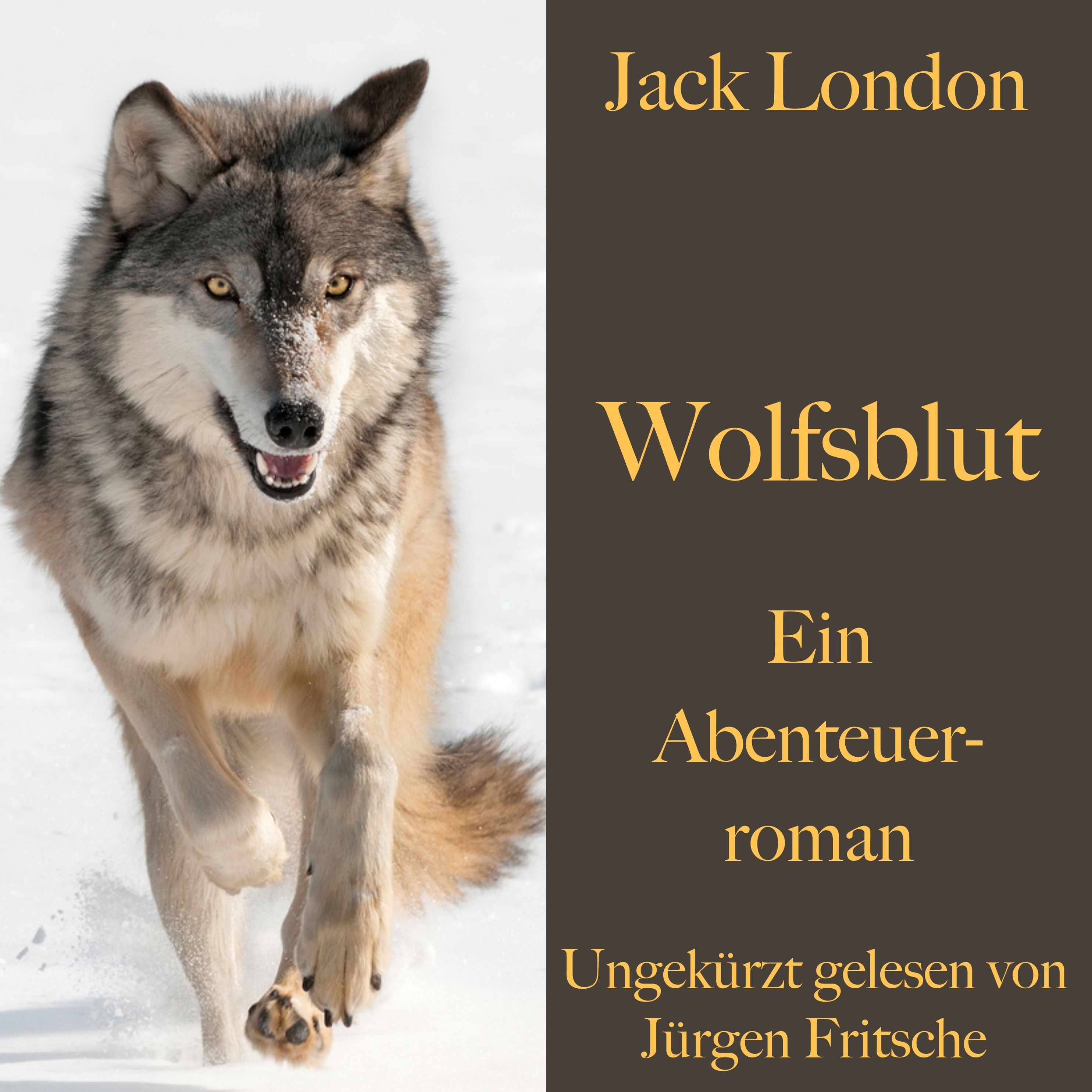 Jack London: Wolfsblut Hörbuch sicher downloaden bei Weltbild.de