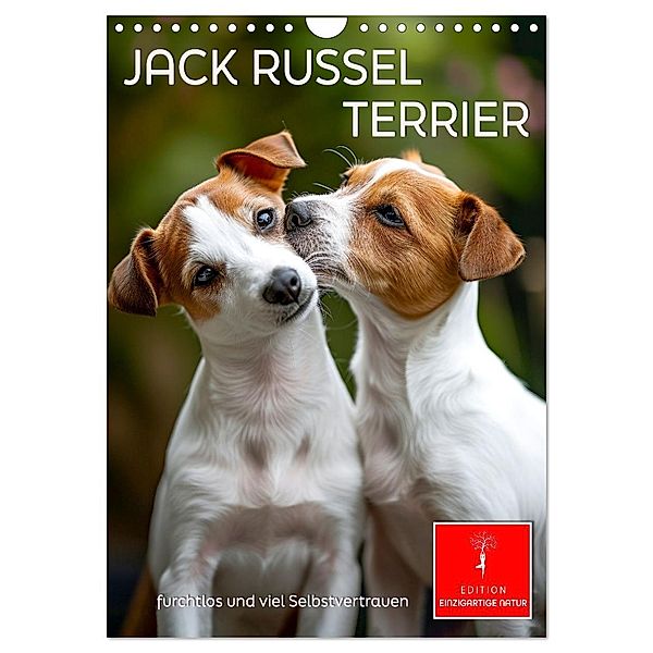 Jack Russel Terrier - furchtlos und viel Selbstvertrauen (Wandkalender 2025 DIN A4 hoch), CALVENDO Monatskalender, Calvendo, Peter Roder