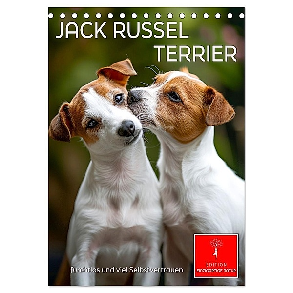 Jack Russel Terrier - furchtlos und viel Selbstvertrauen (Tischkalender 2025 DIN A5 hoch), CALVENDO Monatskalender, Calvendo, Peter Roder
