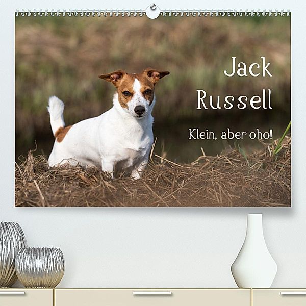 Jack Russell - Klein, aber oho! (Premium-Kalender 2020 DIN A2 quer), Annett Mirsberger tierpfoto.de