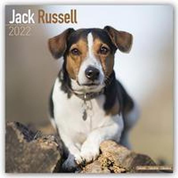 Jack Russell Terrier 2022 - 16-Monatskalender, Avonside Publishing Ltd