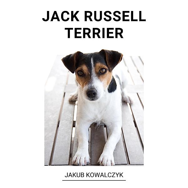 Jack Russell Terrier, Jakub Kowalczyk