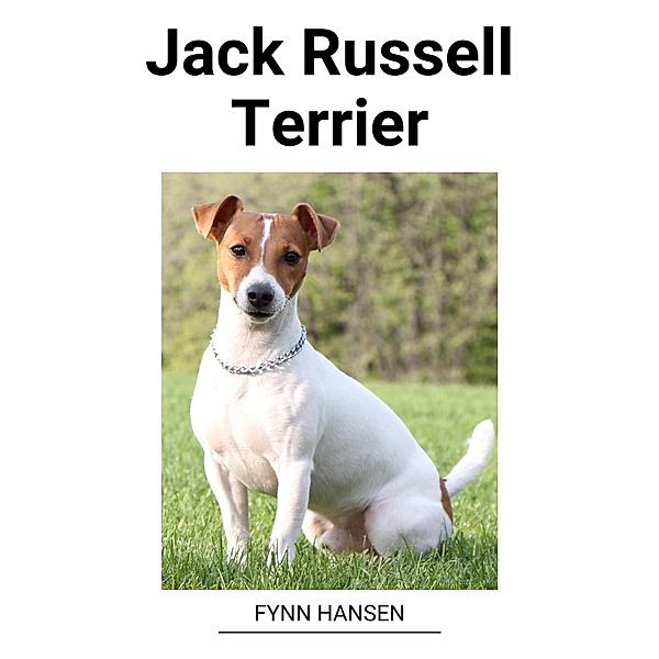 Jack Russell Terrier, Fynn Hansen