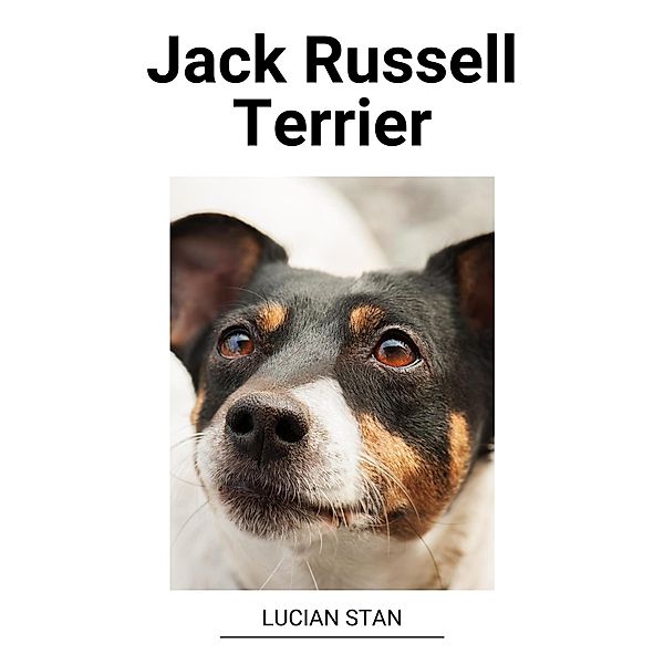 Jack Russell Terrier, Lucian Stan