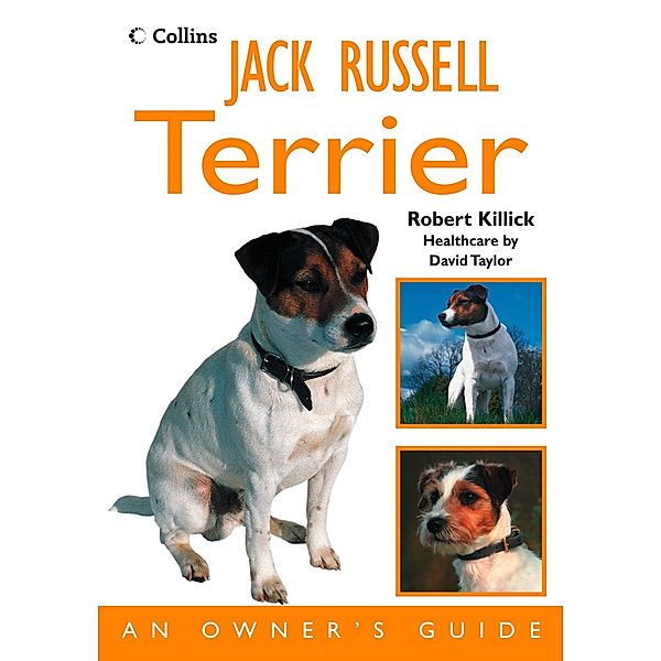 Jack Russell Terrier, Robert Killick