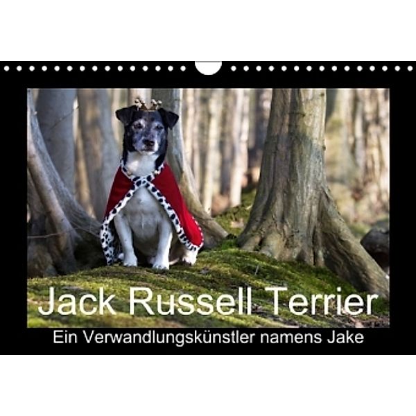 Jack Russell Terrier.....Ein Verwandlungskünstler namens Jake (Wandkalender 2015 DIN A4 quer), Susanne Schröder, S. Schröder, Werbeagentur