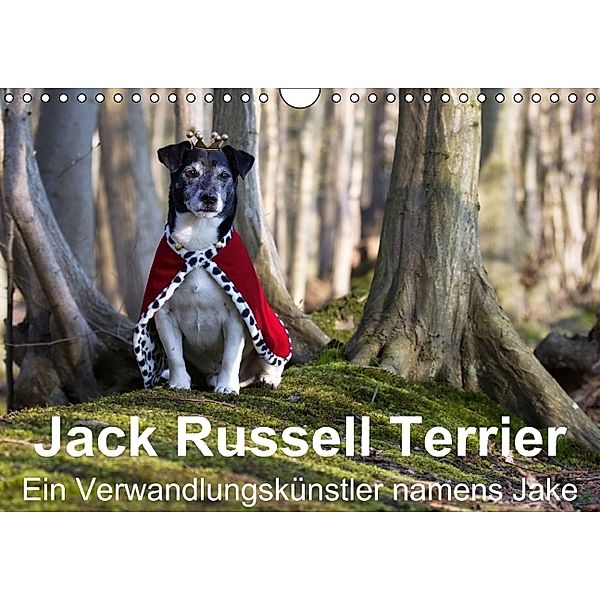 Jack Russell Terrier - Ein Verwandlungskünstler namens Jake / Geburtstagskalender (Wandkalender immerwährend DIN A4 quer, Susanne Schröder, S. Schröder, k.A. Werbeagentur