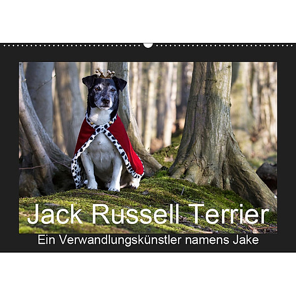 Jack Russell Terrier.....Ein Verwandlungskünstler namens Jake (Wandkalender 2019 DIN A2 quer), Susanne Schröder