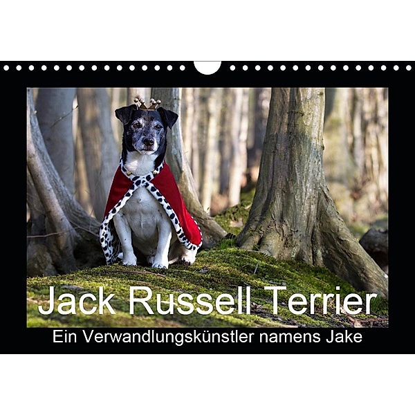 Jack Russell Terrier.....Ein Verwandlungskünstler namens Jake (Wandkalender 2020 DIN A4 quer), Susanne Schröder