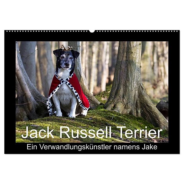 Jack Russell Terrier.....Ein Verwandlungskünstler namens Jake (Wandkalender 2024 DIN A2 quer), CALVENDO Monatskalender, AWS S. + J. Schröder, Werbeagentur,, Susanne Schröder