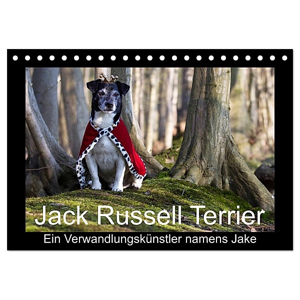 Jack Russell Terrier.....Ein Verwandlungskünstler namens Jake (Tischkalender 2024 DIN A5 quer), CALVENDO Monatskalender, AWS S. + J. Schröder, Werbeagentur,, Susanne Schröder