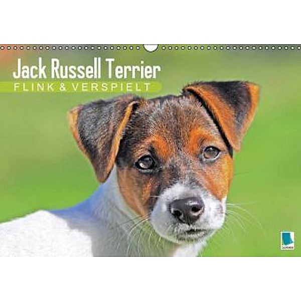 Jack Russell Terrier: flink und verspielt (Wandkalender 2015 DIN A3 quer), CALVENDO