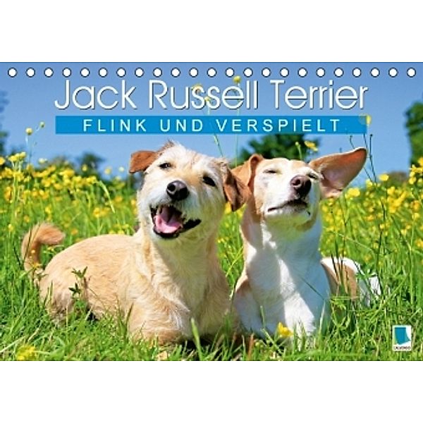 Jack Russell Terrier: flink und verspielt (Tischkalender 2016 DIN A5 quer), Calvendo