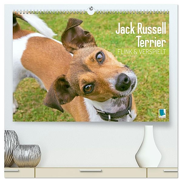 Jack Russell Terrier: flink und verspielt (hochwertiger Premium Wandkalender 2024 DIN A2 quer), Kunstdruck in Hochglanz, Calvendo