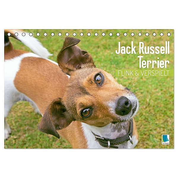 Jack Russell Terrier: flink und verspielt (Tischkalender 2024 DIN A5 quer), CALVENDO Monatskalender, Calvendo