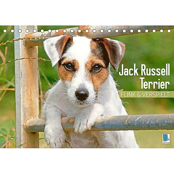 Jack Russell Terrier: flink und verspielt (Tischkalender 2023 DIN A5 quer), Calvendo