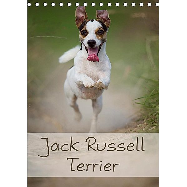 Jack Russell Terrier (Tischkalender 2021 DIN A5 hoch), Nicole Noack