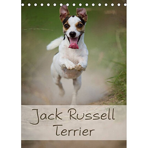 Jack Russell Terrier (Tischkalender 2022 DIN A5 hoch), Nicole Noack