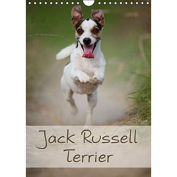 Jack Russell Terrier (Wandkalender 2015 DIN A4 hoch), Nicole Noack