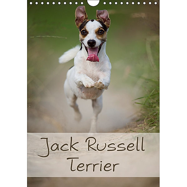 Jack Russell Terrier (Wandkalender 2019 DIN A4 hoch), Nicole Noack