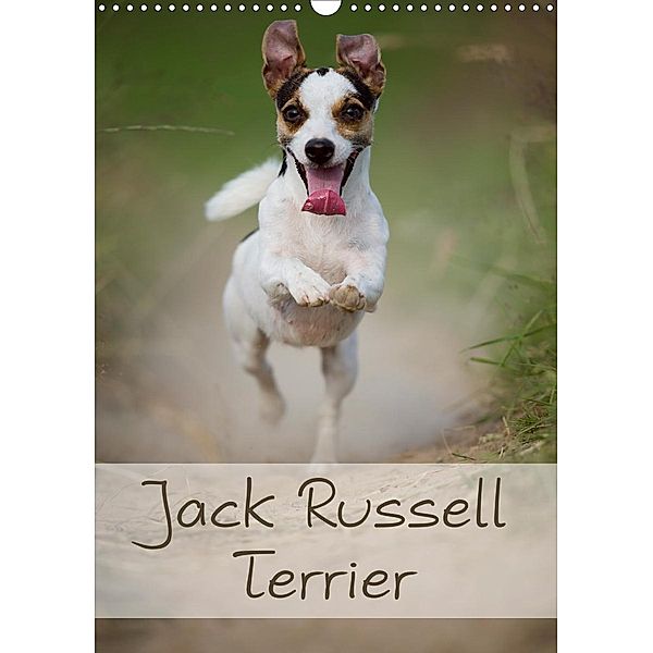 Jack Russell Terrier (Wandkalender 2020 DIN A3 hoch), Nicole Noack