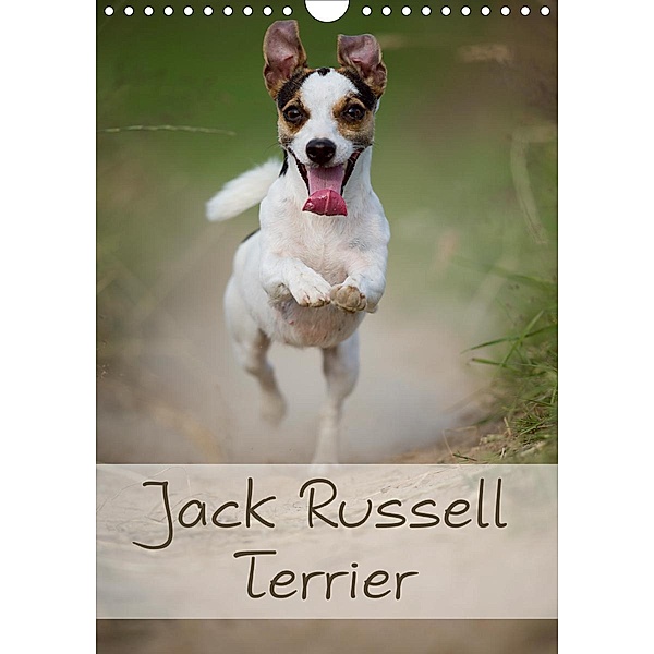 Jack Russell Terrier (Wandkalender 2020 DIN A4 hoch), Nicole Noack