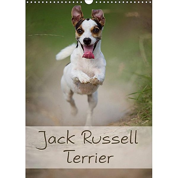 Jack Russell Terrier (Wandkalender 2023 DIN A3 hoch), Nicole Noack