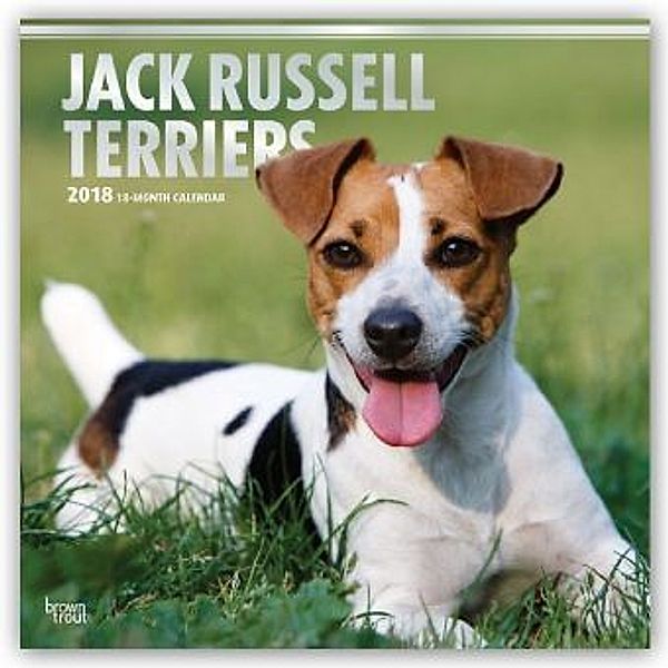 Jack Russell Terriers 2018 - 18-Monatskalender mit freier DogDays-App, BrownTrout Publisher