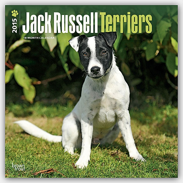 Jack Russell Terriers, Broschürenkalender 2015