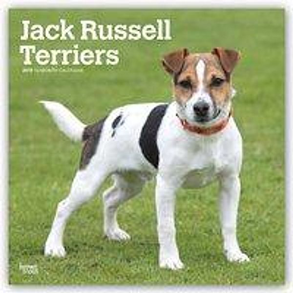 Jack Russell Terriers International Edition 2019 Square Wall