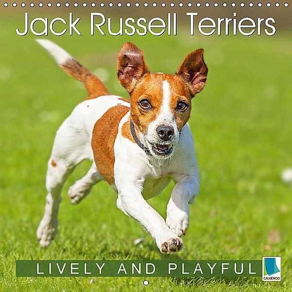 Jack Russell Terriers Lively and Playful (Wall Calendar 2018 300 × 300 mm Square), Calvendo