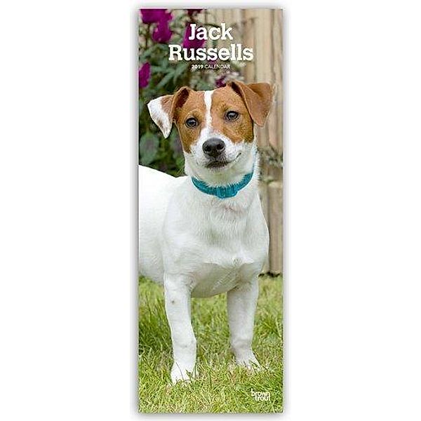 Jack Russells 2019, BrownTrout Publisher