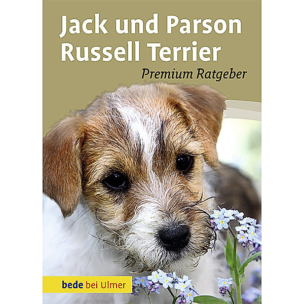 Jack und Parson Russell Terrier, Annette Schmitt