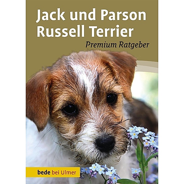 Jack und Parson Russell Terrier, Annette Schmitt