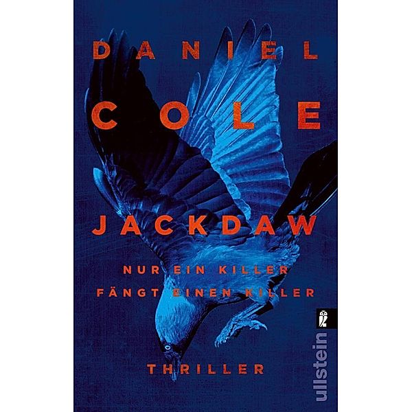 Jackdaw, Daniel Cole