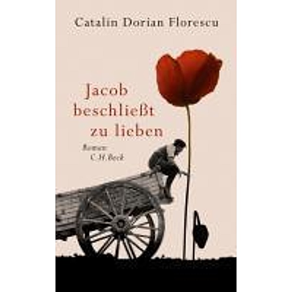 Jacob beschließt zu lieben, Catalin Dorian Florescu