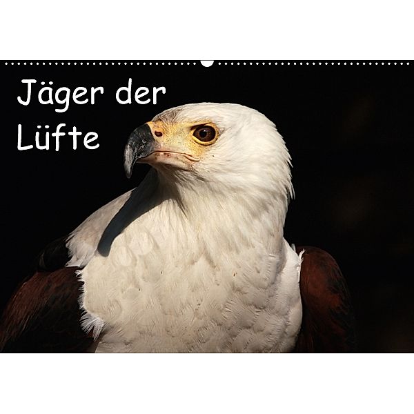 Jäger der Lüfte (Wandkalender 2018 DIN A2 quer), Arno Klatt