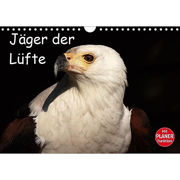 Jäger der Lüfte (Wandkalender 2021 DIN A4 quer), Arno Klatt