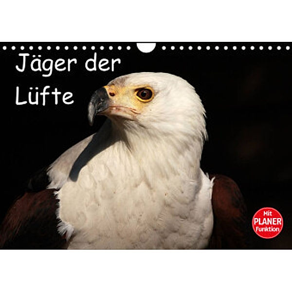 Jäger der Lüfte (Wandkalender 2022 DIN A4 quer), Arno Klatt