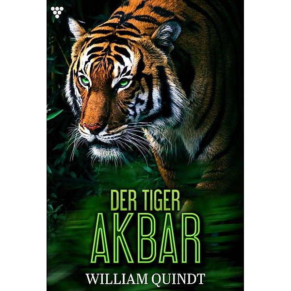 Jagd im indischen Dschungel / Der Tiger Akbar Bd.1, William Quindt