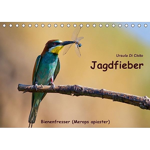 Jagdfieber - Bienenfresser (Merops apiaster) (Tischkalender 2014 DIN A5 quer), Ursula Di Chito