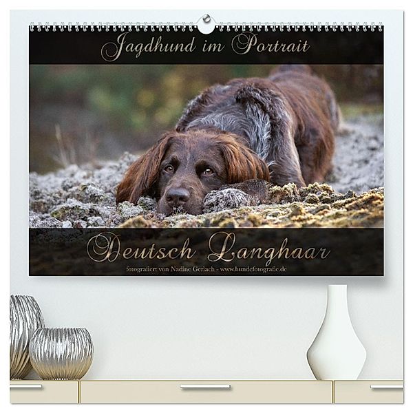 Jagdhund im Portrait - Deutsch Langhaar (hochwertiger Premium Wandkalender 2024 DIN A2 quer), Kunstdruck in Hochglanz, Calvendo, Nadine Gerlach