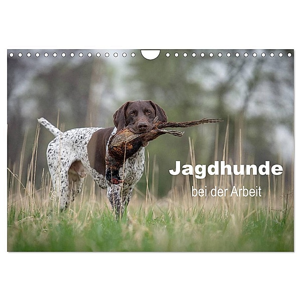 Jagdhunde bei der Arbeit (Wandkalender 2024 DIN A4 quer), CALVENDO Monatskalender, Tanja Brandt