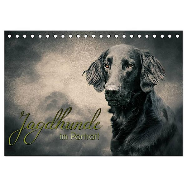 Jagdhunde im Portrait (Tischkalender 2024 DIN A5 quer), CALVENDO Monatskalender, Alexandra Hollstein