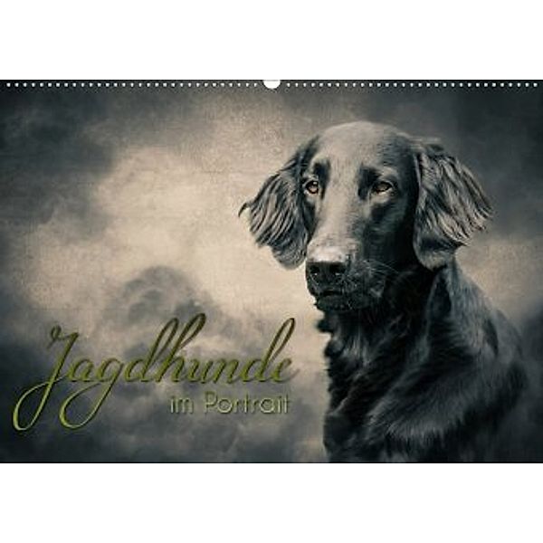 Jagdhunde im Portrait (Wandkalender 2020 DIN A2 quer), Alexandra Hollstein