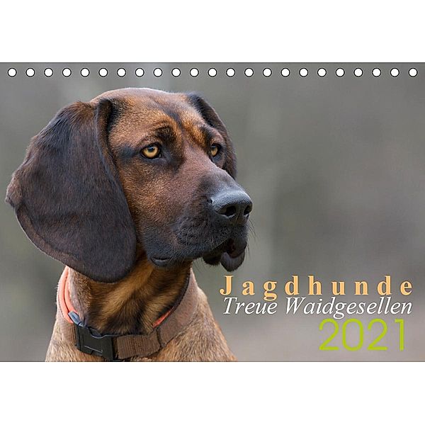 Jagdhunde - Treue Waidgesellen (Tischkalender 2021 DIN A5 quer), Nadine Gerlach