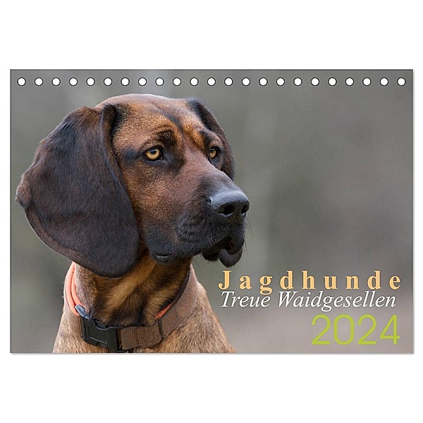 Jagdhunde - Treue Waidgesellen (Tischkalender 2024 DIN A5 quer), CALVENDO Monatskalender, Nadine Gerlach